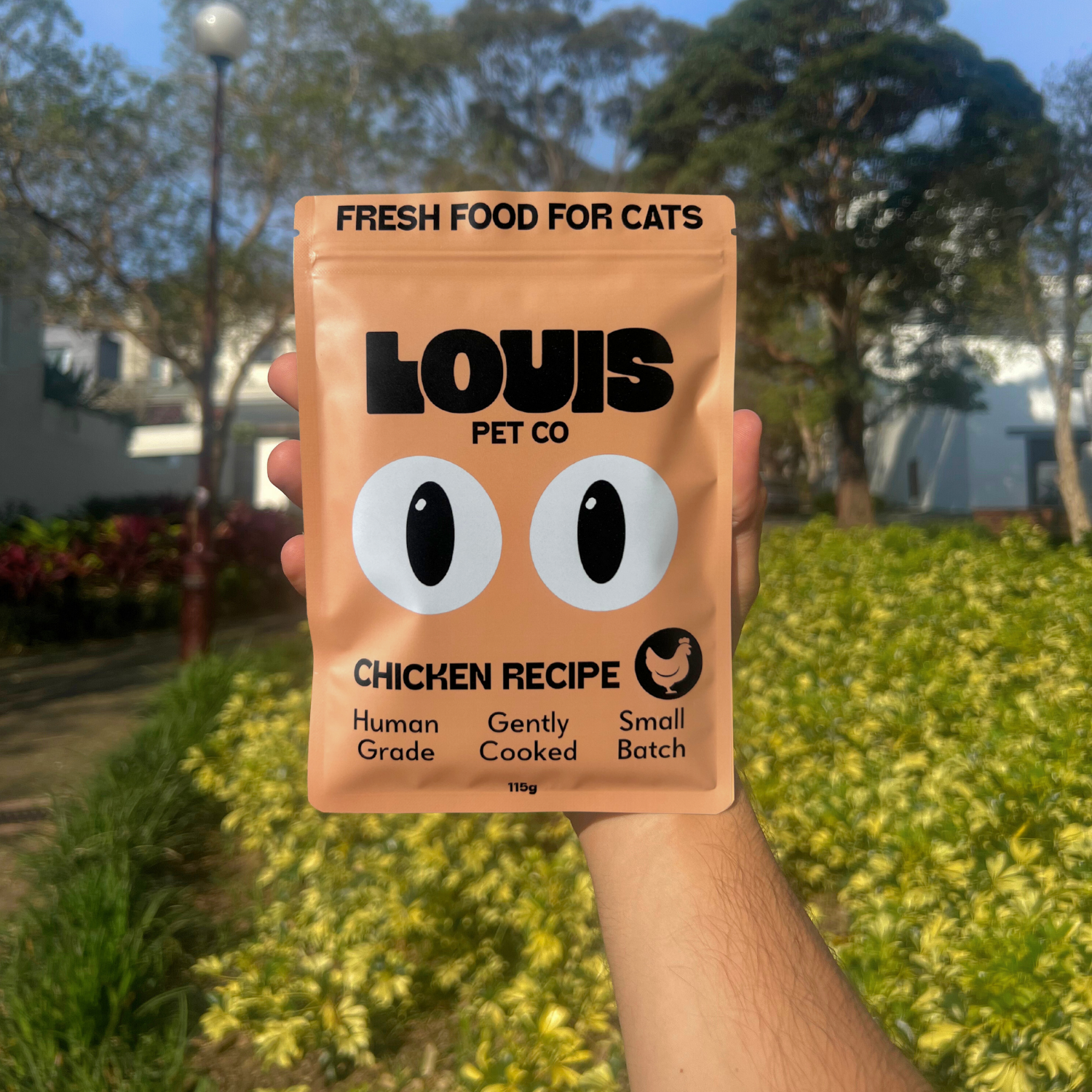 Human-Grade Fresh Food