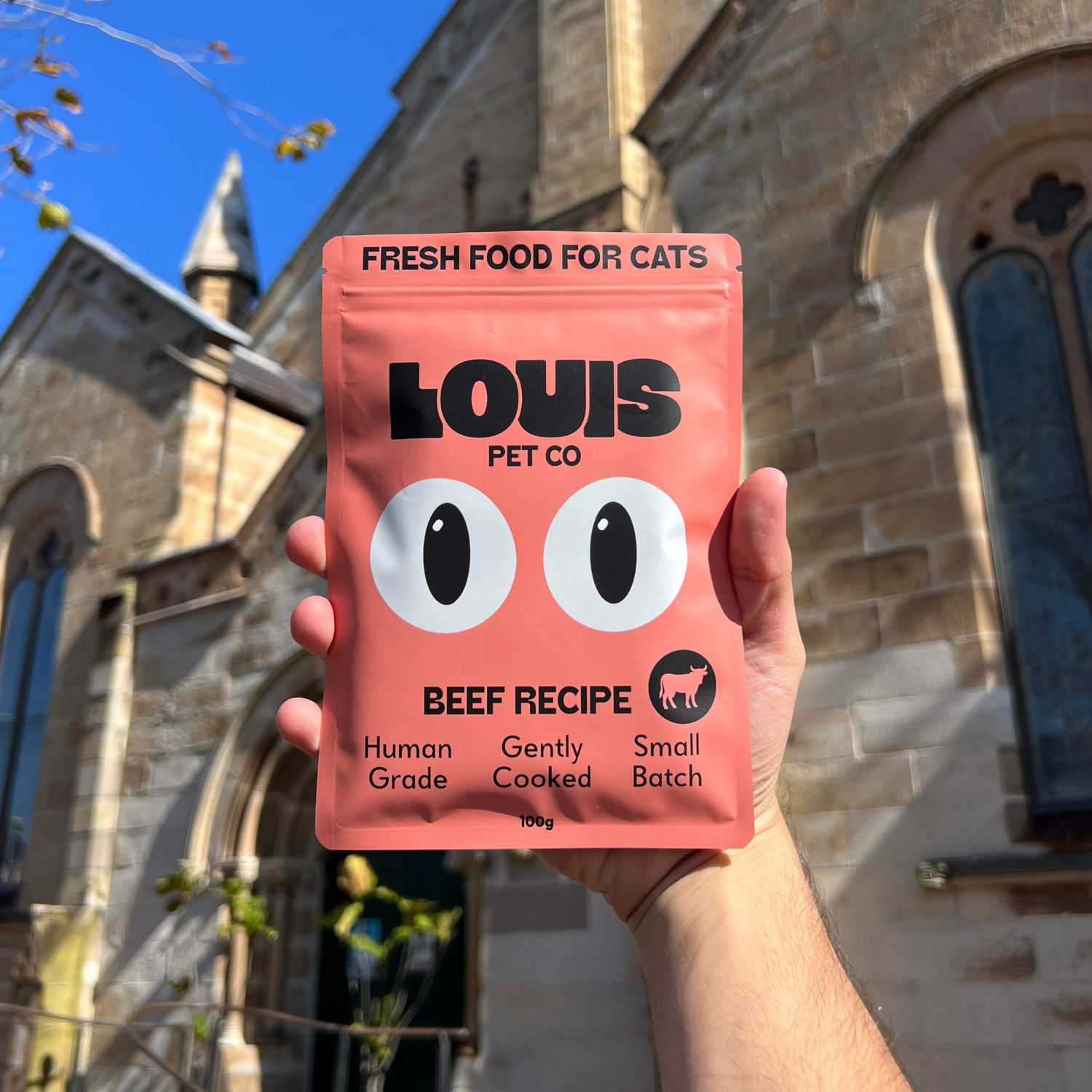Human-Grade Fresh Food
