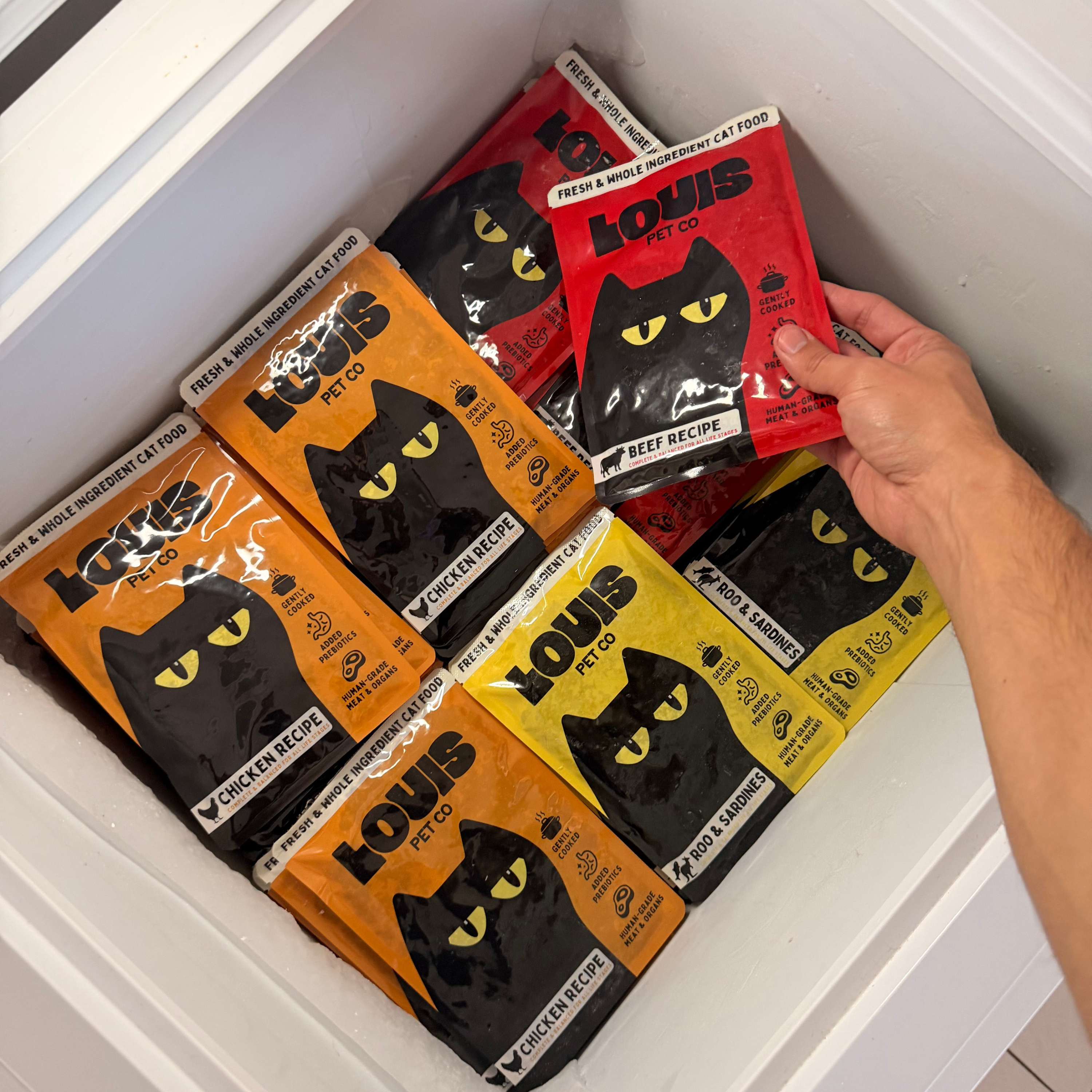 Fresh & Whole Ingredients Cat Food