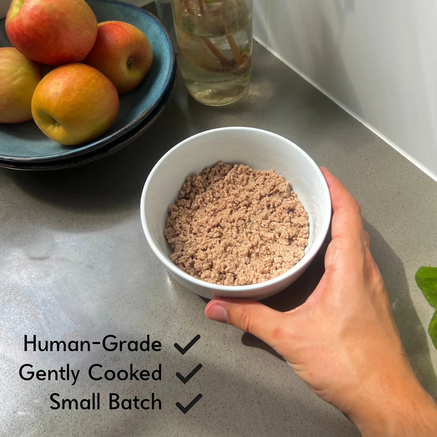Human-Grade Fresh Food