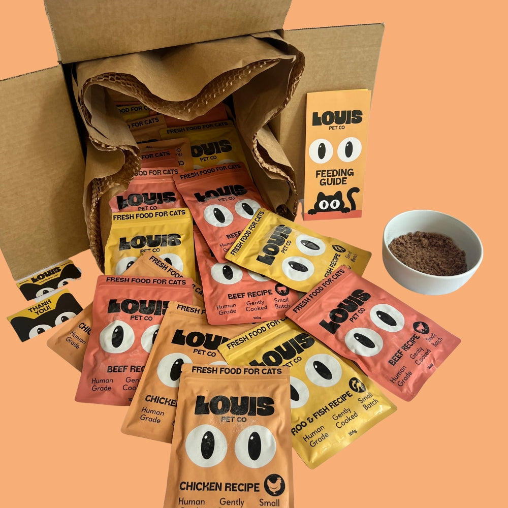 Human-Grade Fresh Food