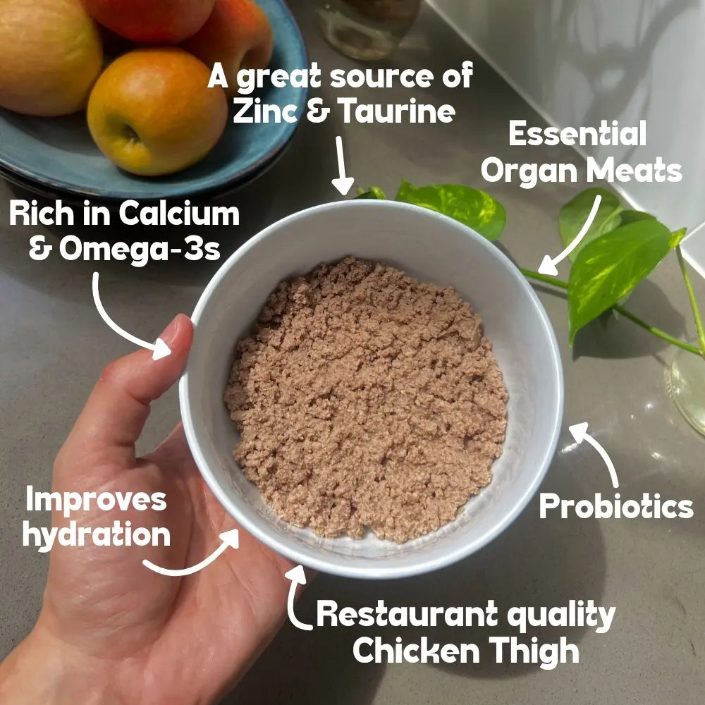 Louis Pet Co fresh chicken cat food in a white bowl labeled with nutrients like zinc, taurine, and probiotics.