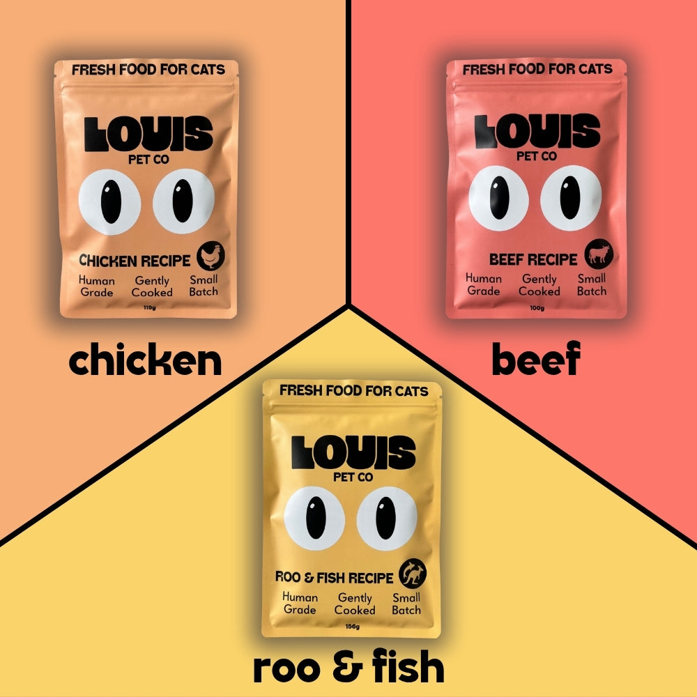 Human-Grade Fresh Food