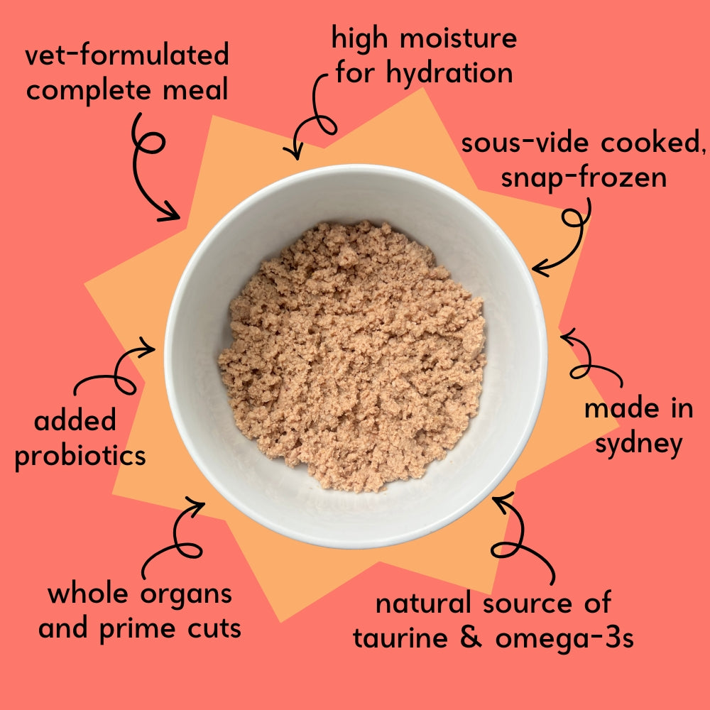 Human-Grade Fresh Food