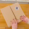 Cat owner opening a Louis Pet Co fresh cat food box at home
