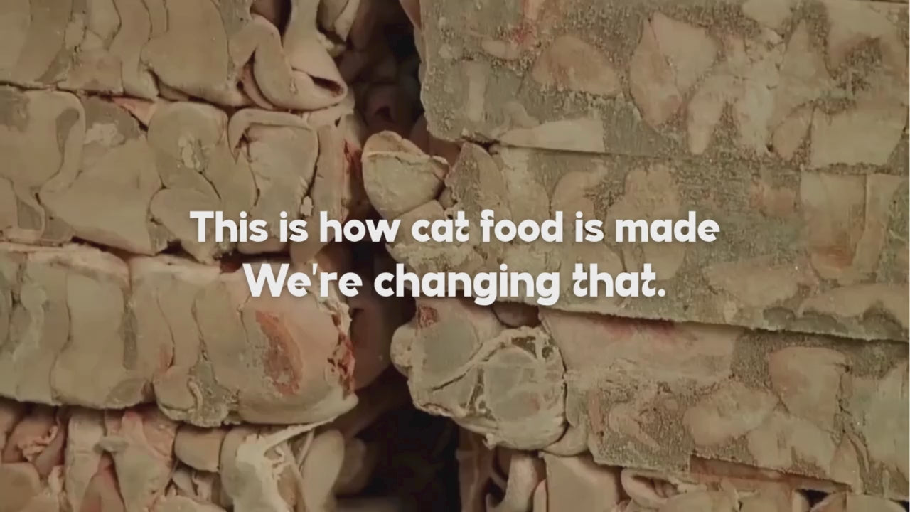 Short Louis Pet Co video contrasting conventional cat food manufacturing with the brand’s fresh, gently cooked approach